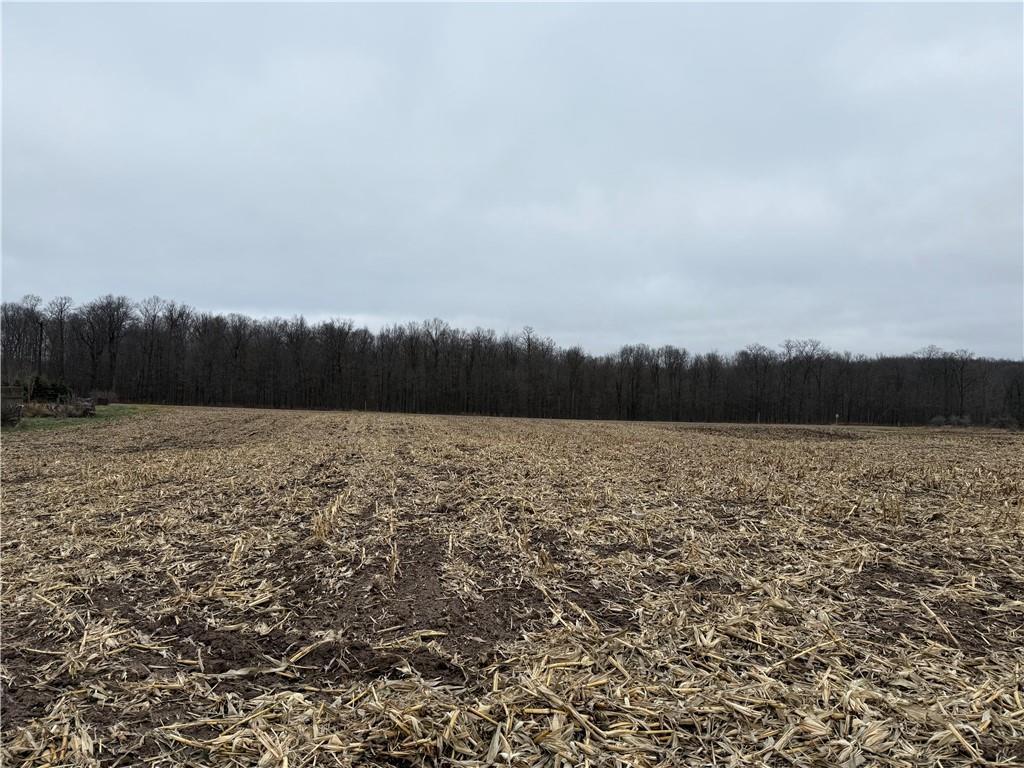 Lot 1 County Hwy D, SARONA, Wisconsin 54870, ,Land,For Sale,Lot 1 County Hwy D,NW1587476