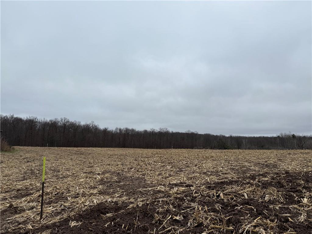 Lot 1 County Hwy D, SARONA, Wisconsin 54870, ,Land,For Sale,Lot 1 County Hwy D,NW1587476