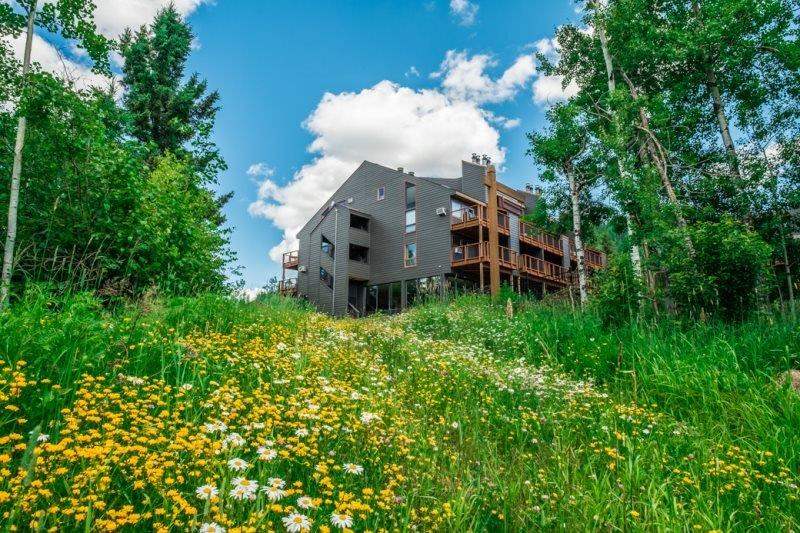 Single Family Residential for sale in Lutsen, Minnesota, 6080907