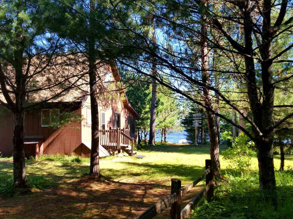 homes for sale in mower county mn