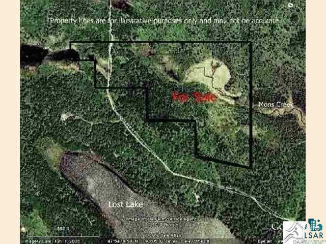 XX16 Lost Lake Rd, Hovland, MN 55606