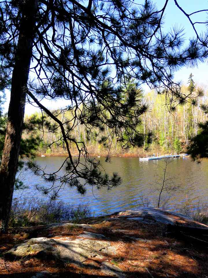 Cook MN Lots Land for Sale Northern Minnesota Janisch Realty