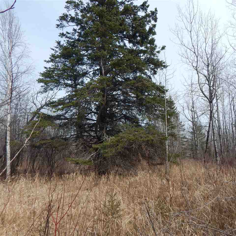Lots and Land for sale in Tofte, Minnesota, 6095861