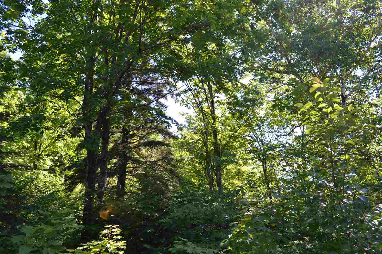 Lots and Land for sale in Lutsen, Minnesota, 6095877