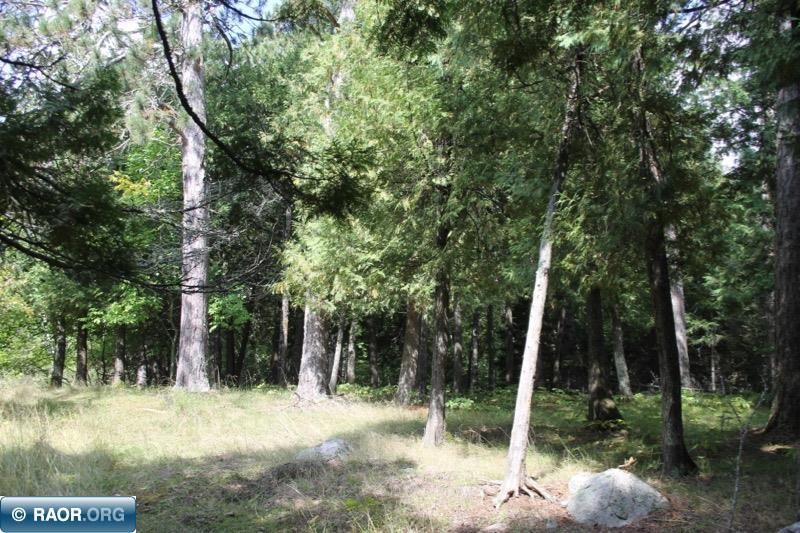 Parcel 1 Ely Island, Tower, MN 55790 118,000 Lots & Land Sold