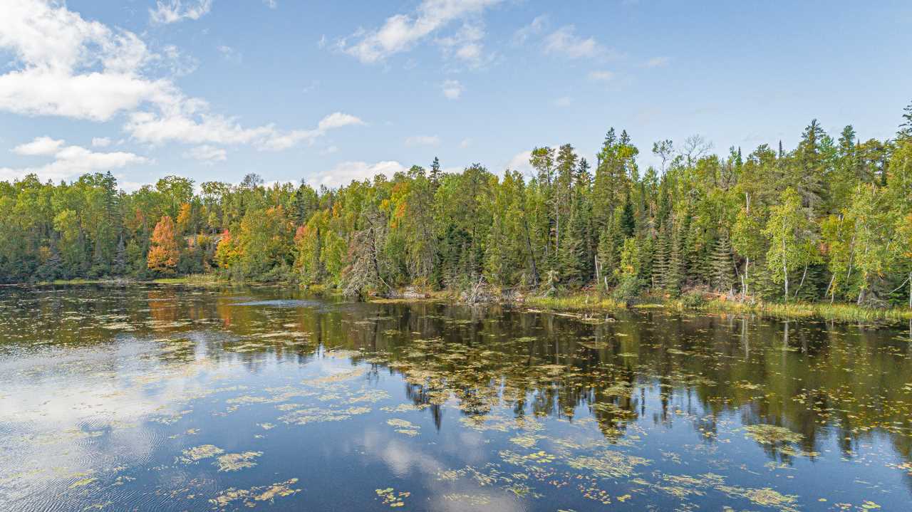 TBD Birch Lake for sale in Babbitt, Minnesota, MLS ID 6097757 Bear