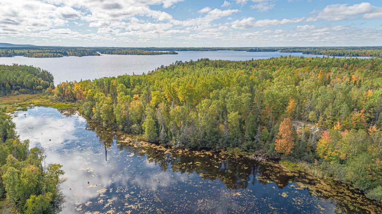 TBD Birch Lake for sale in Babbitt, Minnesota, MLS ID 6097757 Bear