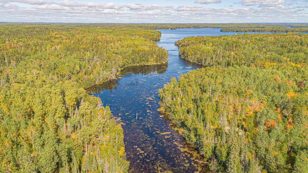 TBD Birch Lake for sale in Babbitt, Minnesota, MLS ID 6097757 Bear