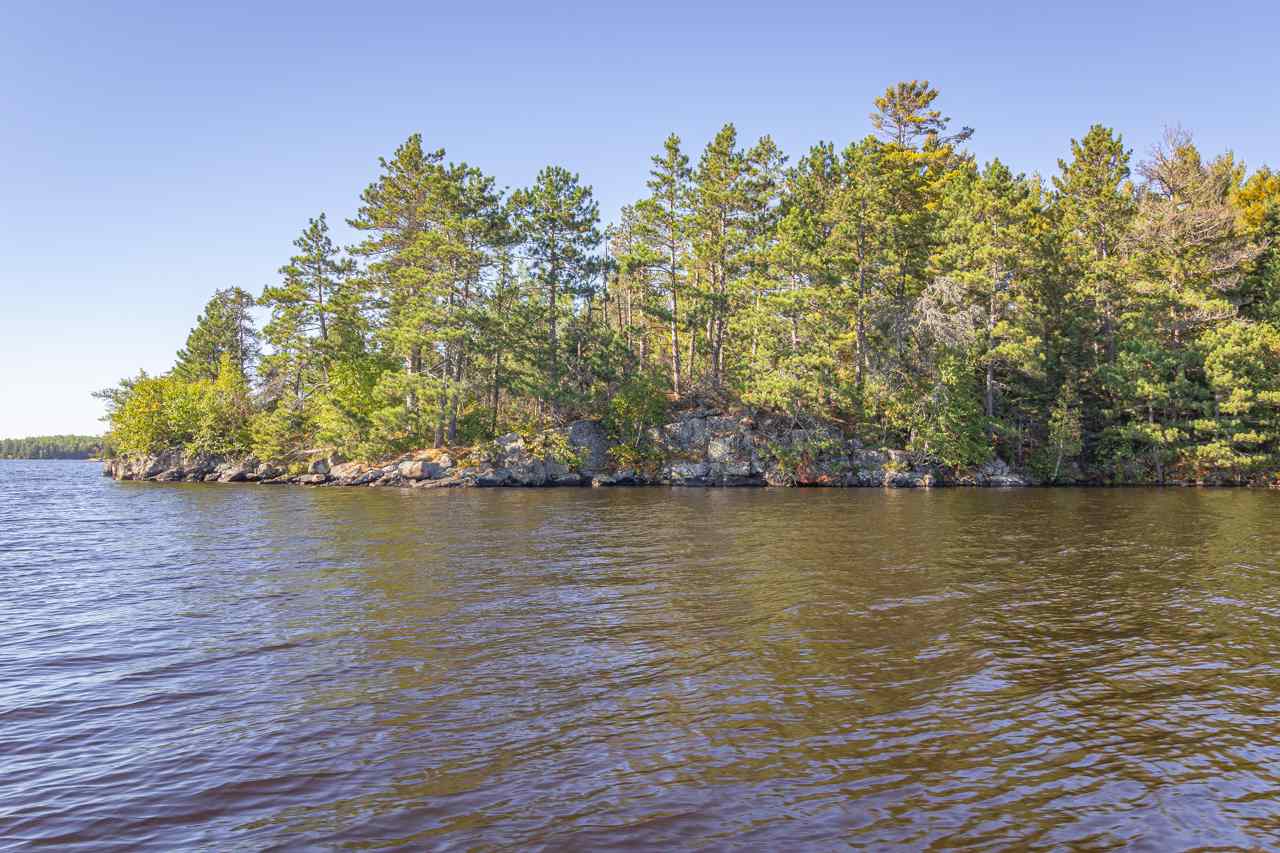 TBD Birch Lake for sale in Babbitt, Minnesota, MLS ID 6097757 Bear