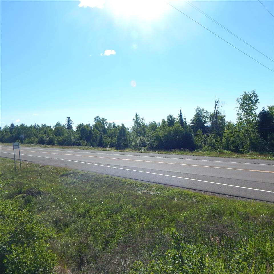 Listing at xxx Onion River Rd Tofte, Minnesota Odyssey Real Estate