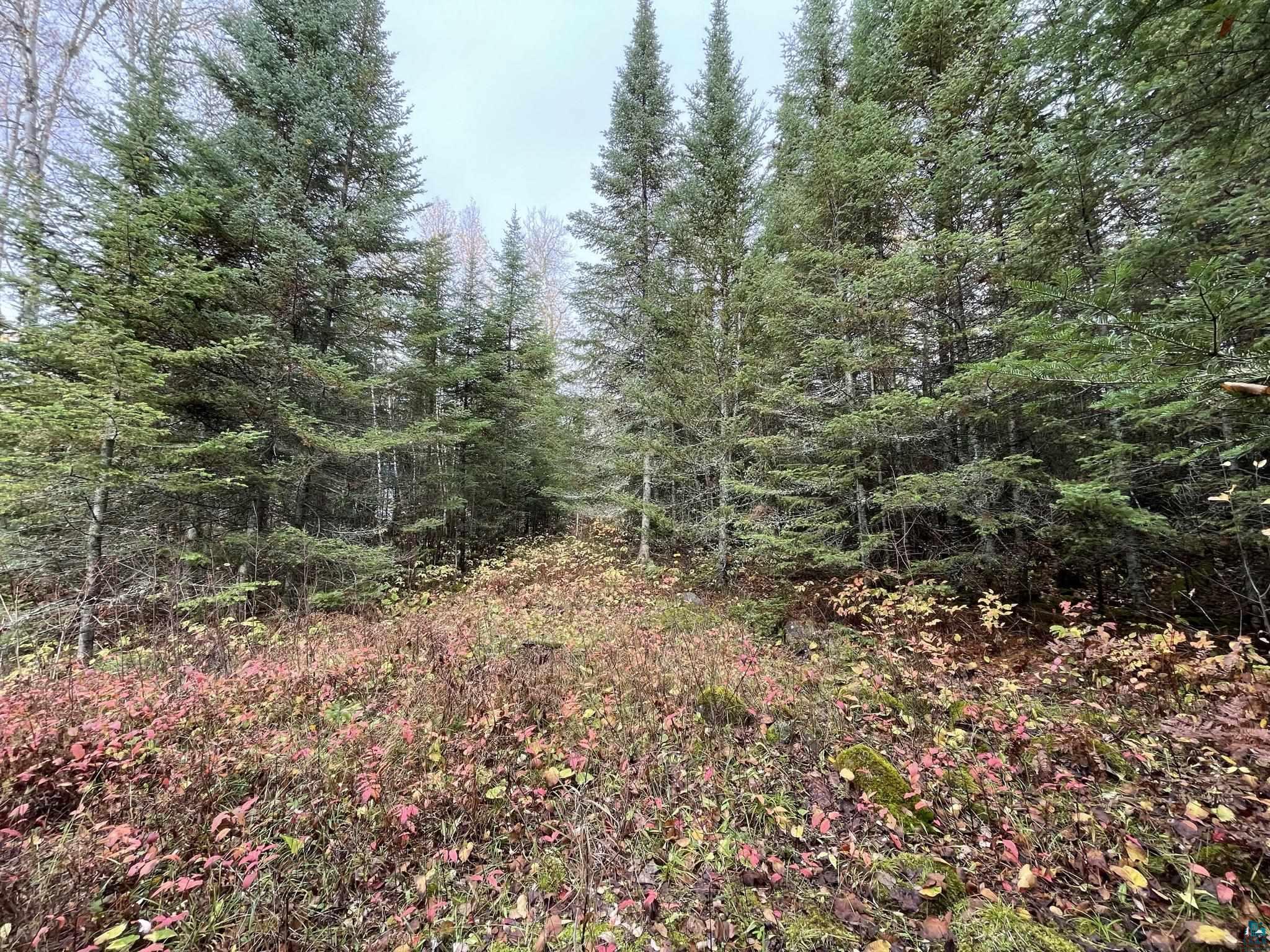 Lots and Land for sale in Grand Marais, Minnesota, 6100258