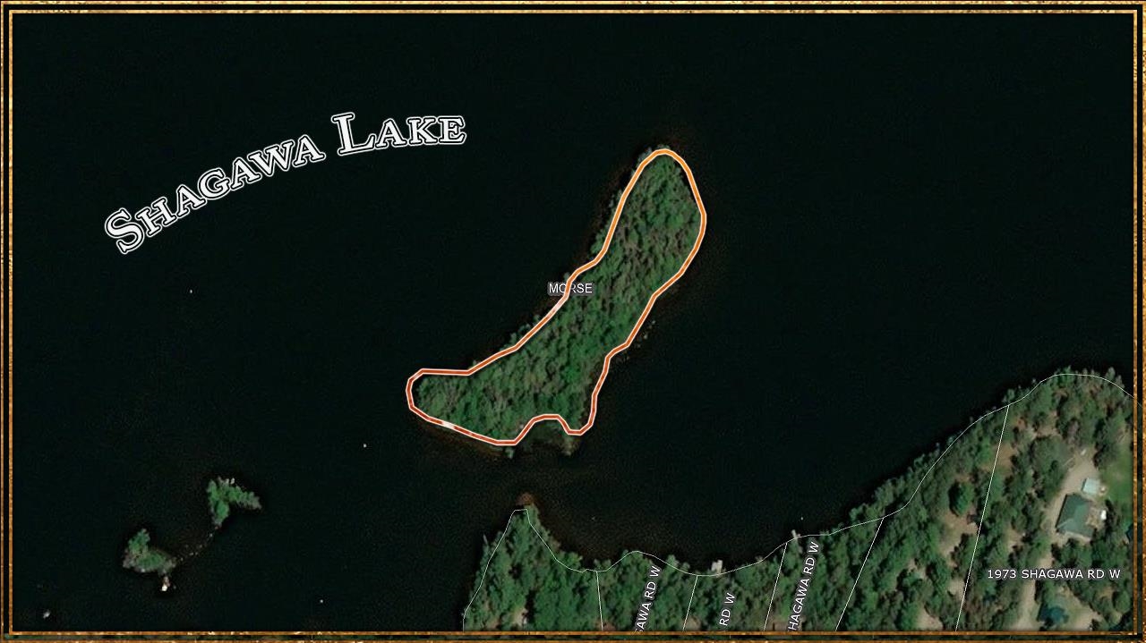 TBD SHAGAWA LAKE, ELY, MN 55731 Janisch Realty