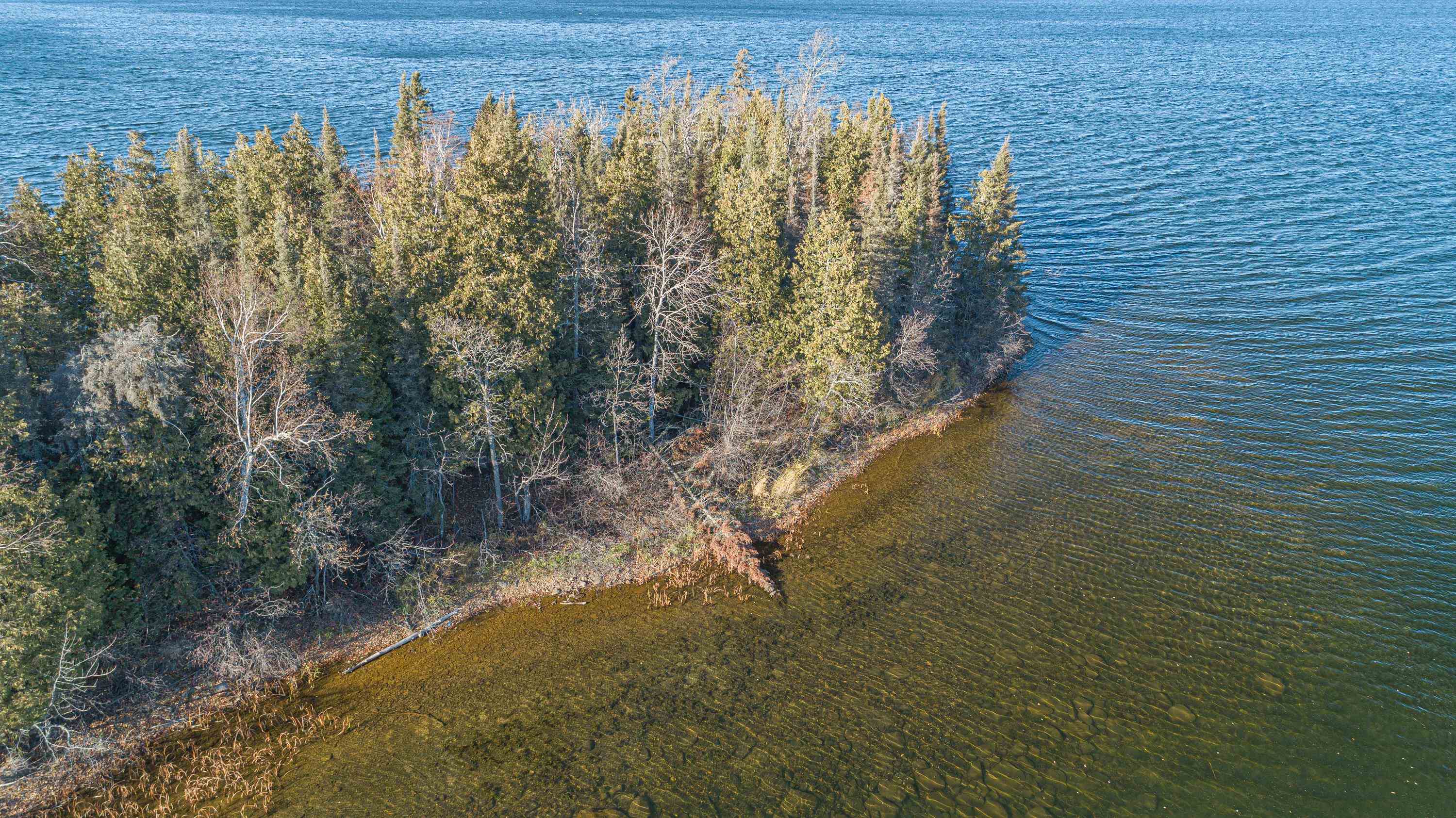 TBD SHAGAWA LAKE, ELY, MN 55731 Janisch Realty
