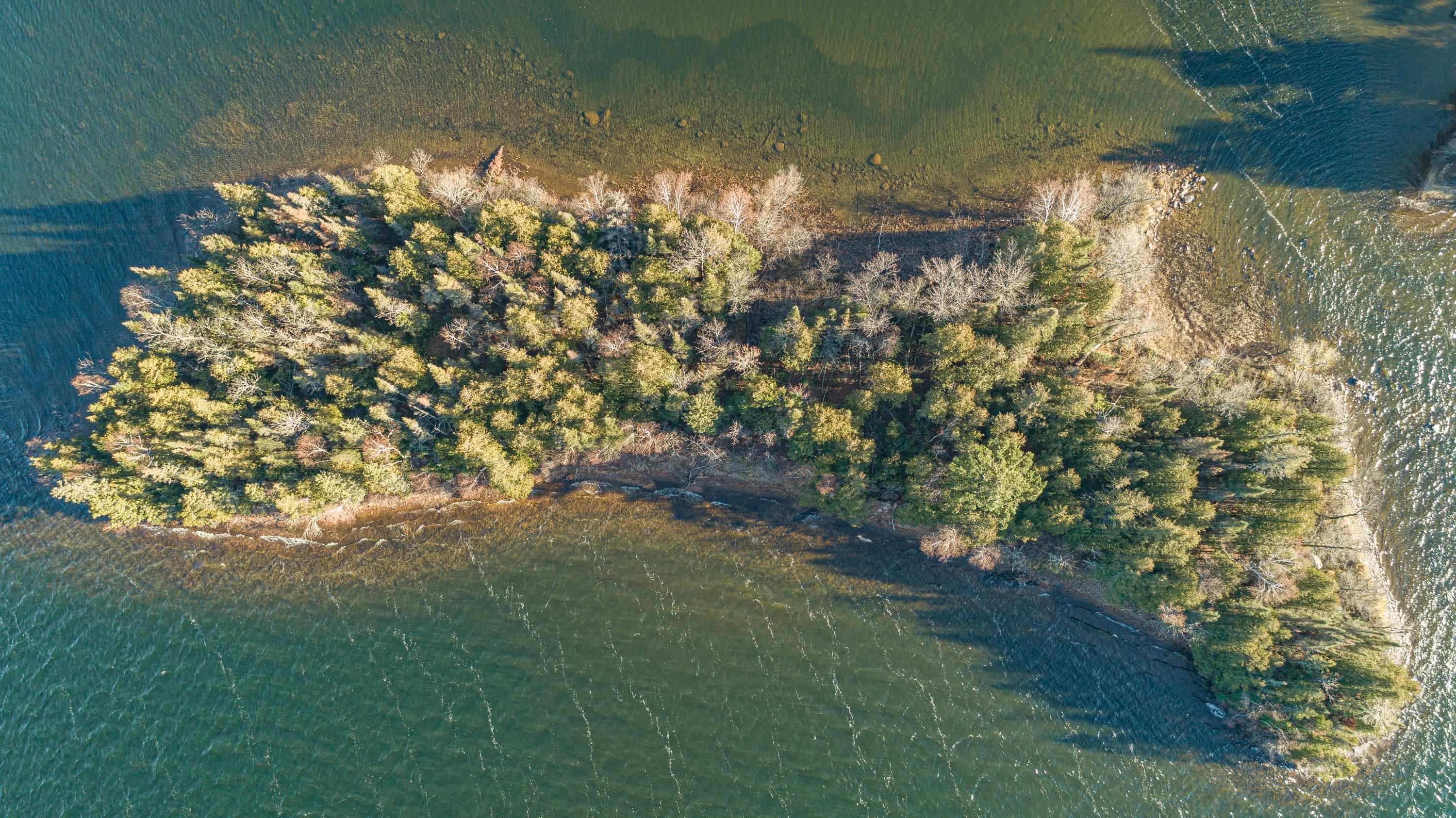 TBD SHAGAWA LAKE, ELY, MN 55731 Janisch Realty