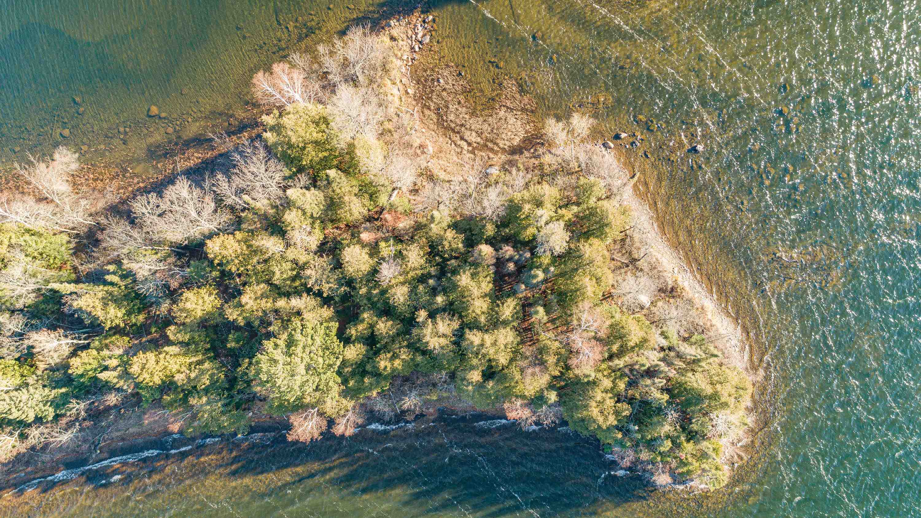 TBD SHAGAWA LAKE, ELY, MN 55731 Janisch Realty