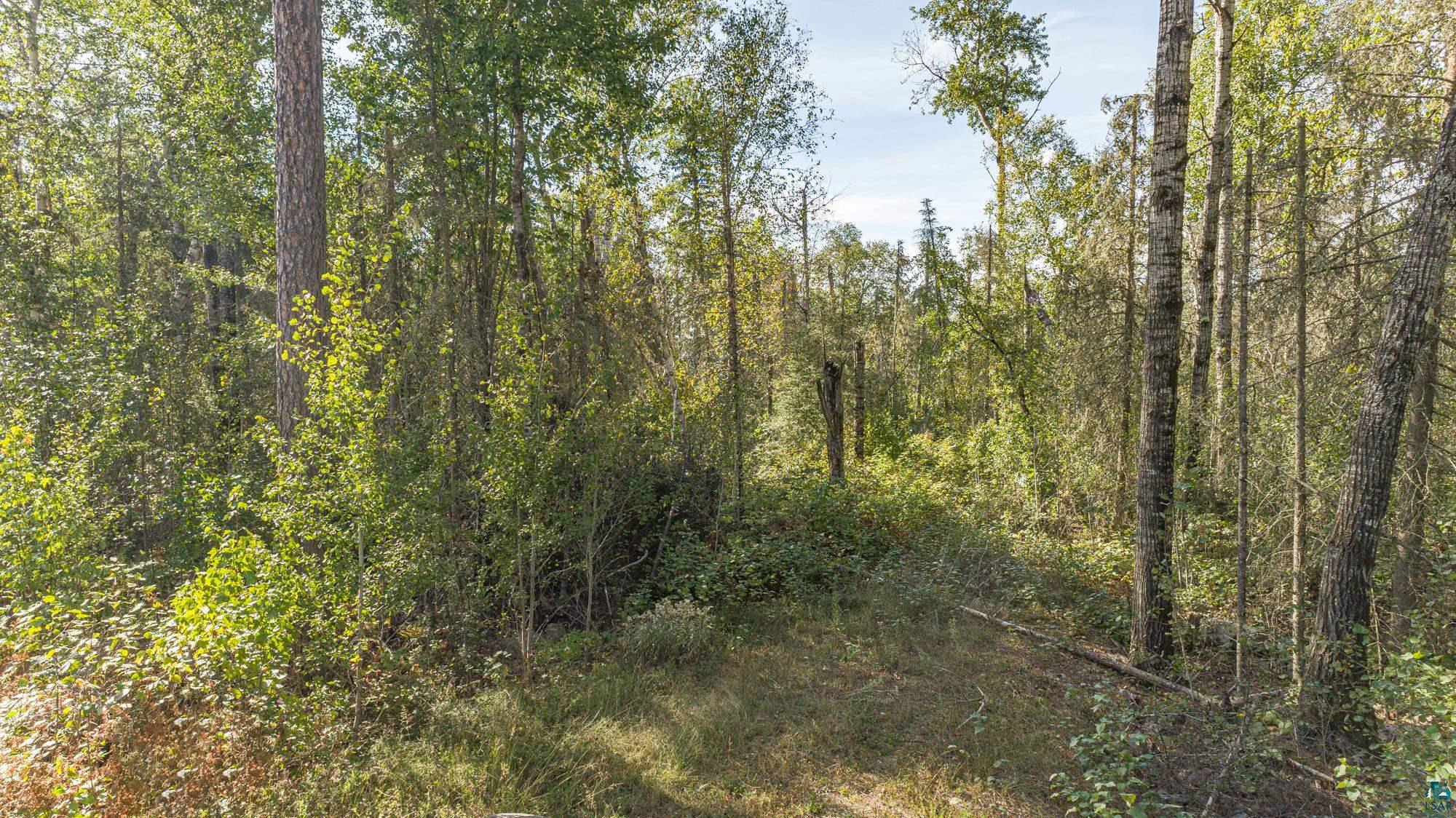 TBD Sunset Rd, Ely, MN 55731 Listing Photo  25
