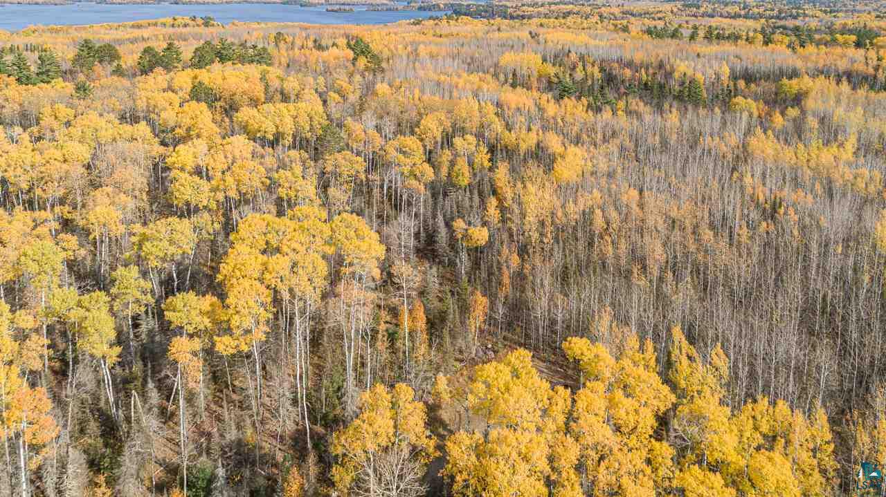 tbd LaBrec Klein Trail, Ely, MN 55731 Listing Photo  5