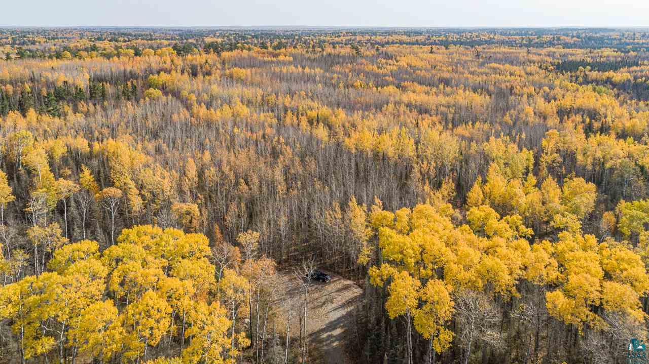 tbd LaBrec Klein Trail, Ely, MN 55731 Listing Photo  6