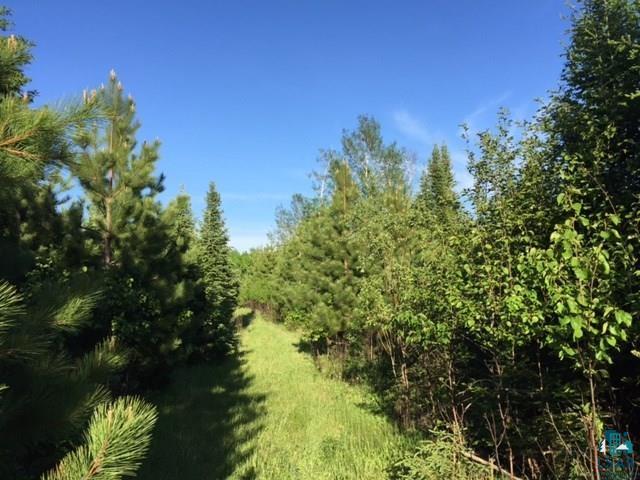 1142 Camp 20 Rd, Hovland, MN 55606