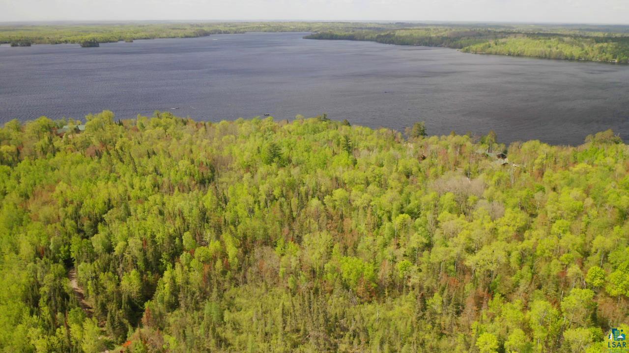 Parcel A S Niles Bay Forest Rd, Orr, MN 55771 Listing Photo  6