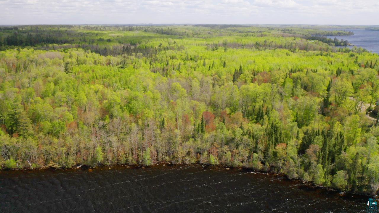 Parcel B S Niles Bay Forest Rd, Orr, MN 55771 Listing Photo  3