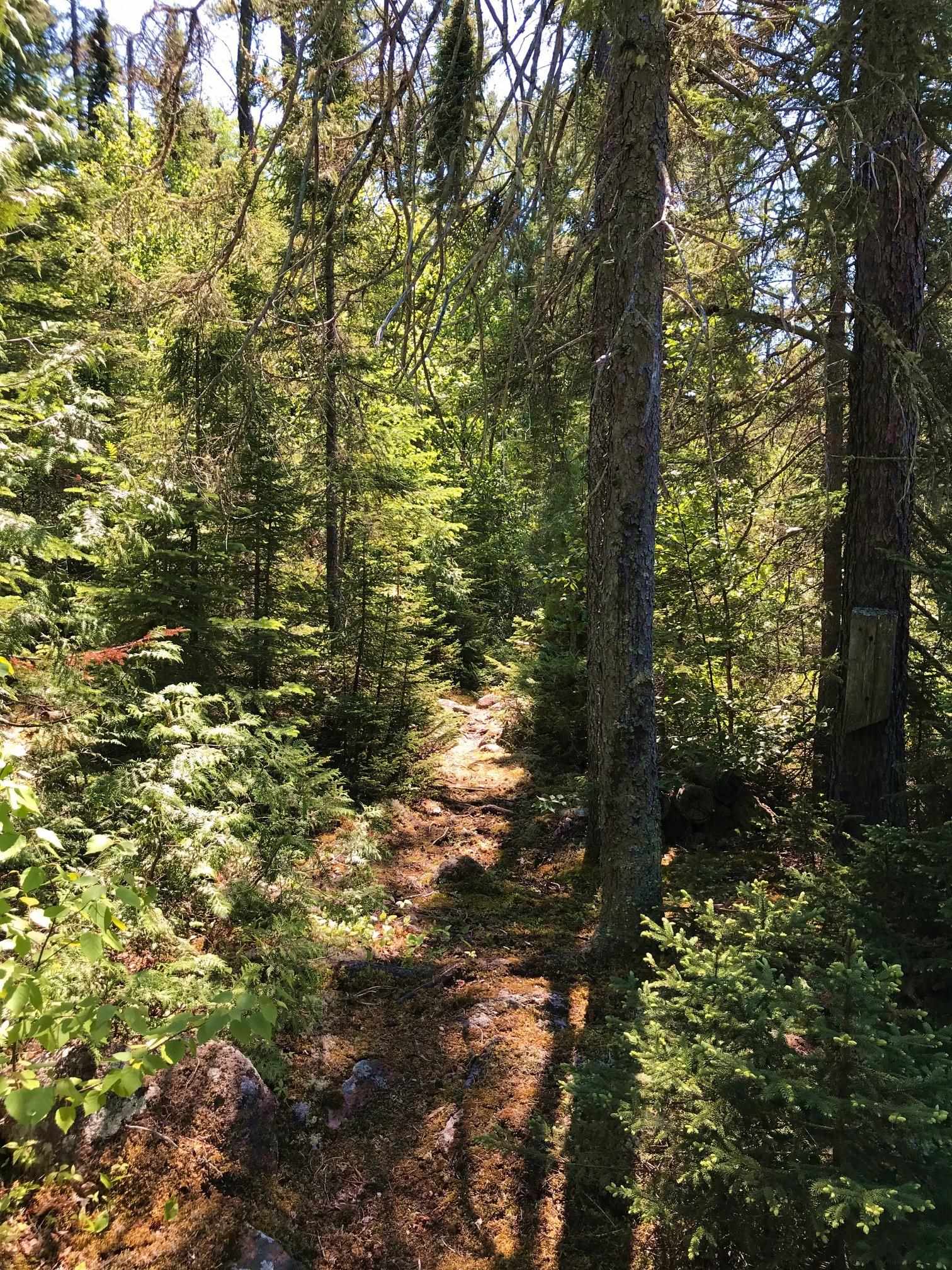 67 Tofte Cabin Tr, Grand Marais, MN 55604 699,900 Other Sold