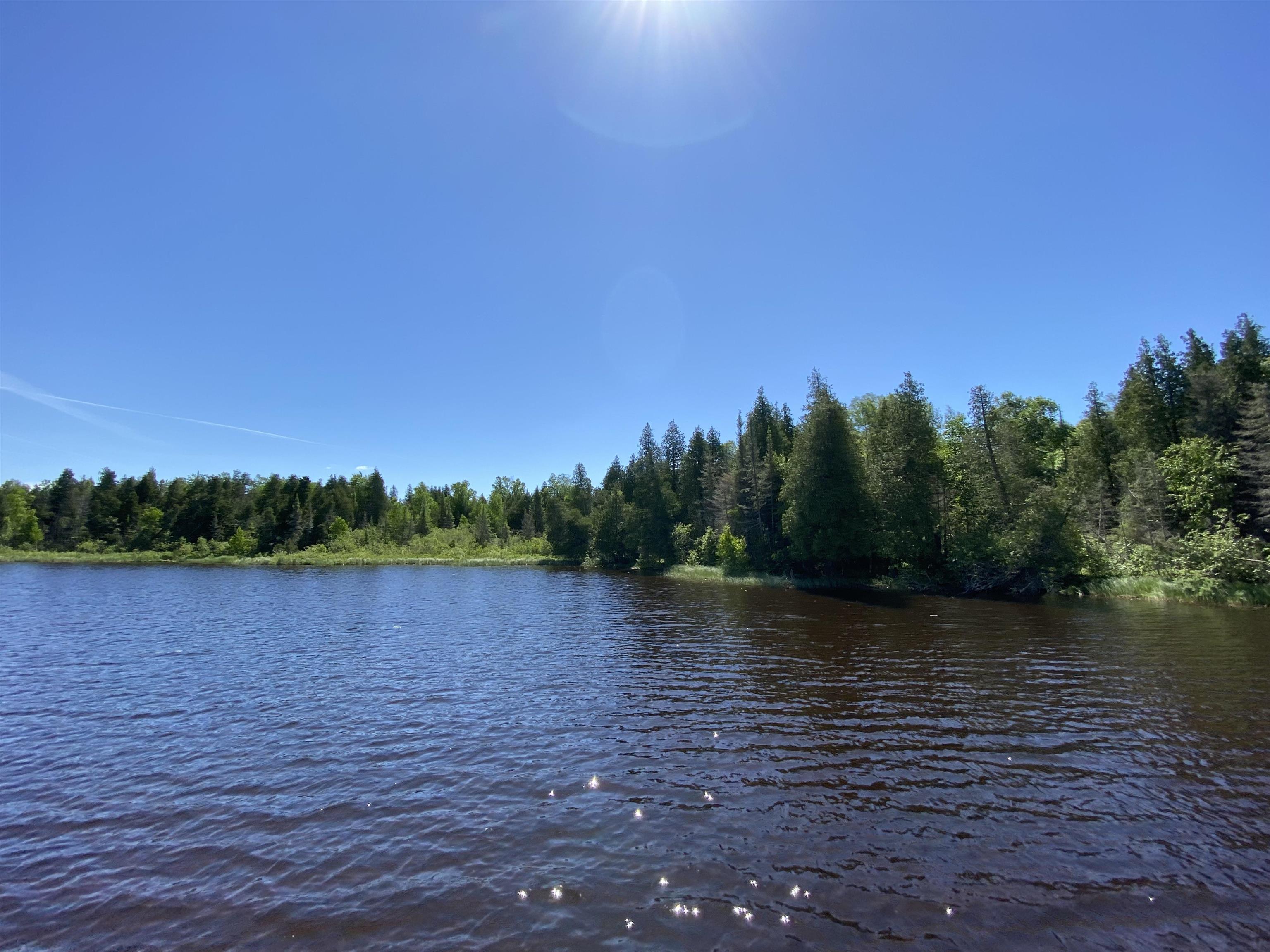 Listing at 22XXXXX N Bear Lake Rd Brimson, Minnesota Odyssey Real