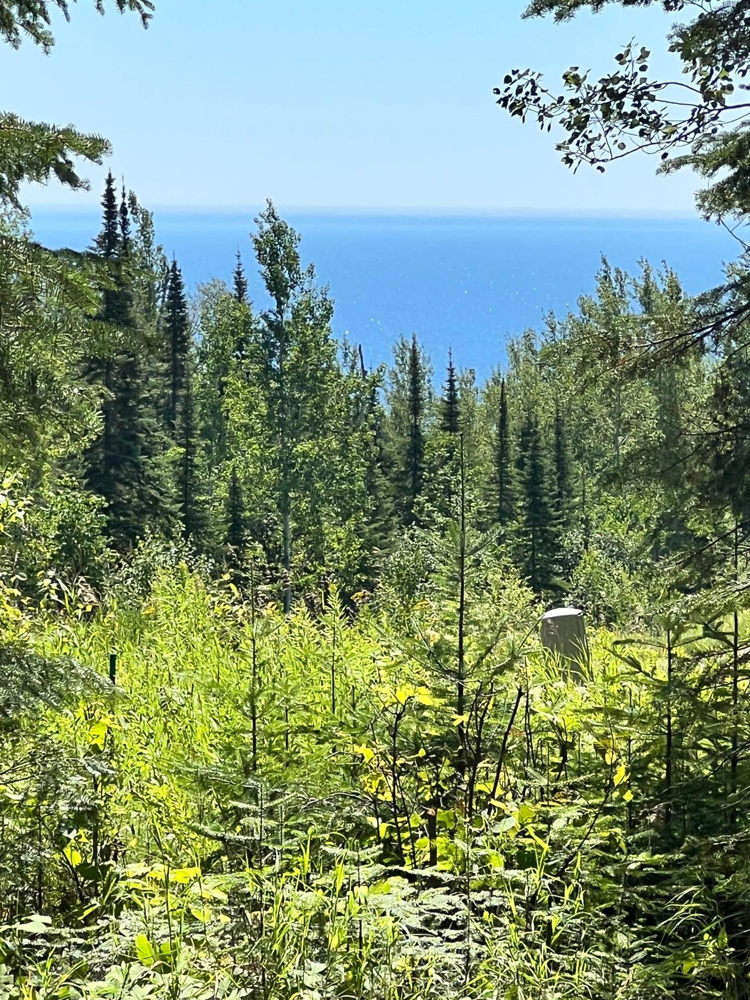 Grand Marais MN Lots Land for Sale Northern Minnesota Janisch Realty