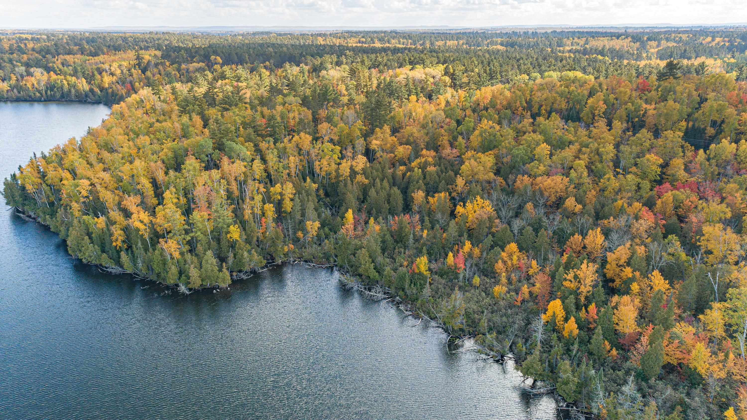 Ely MN Lots Land for Sale Northern Minnesota Janisch Realty