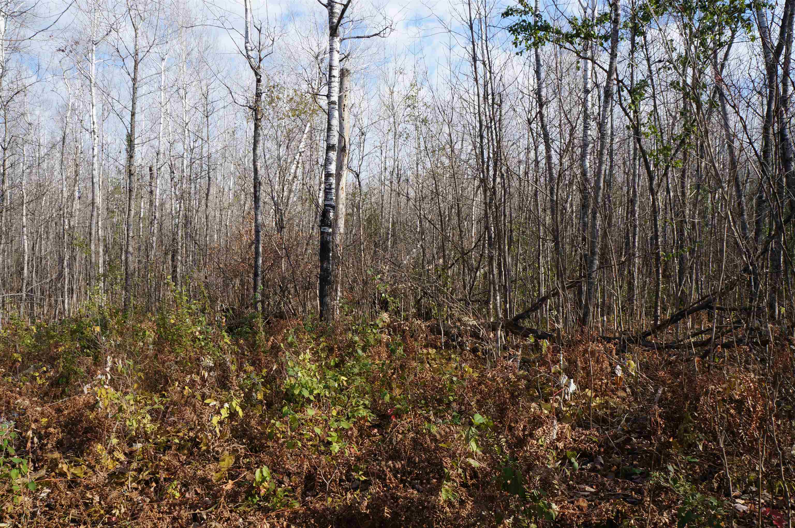 335x Strand Rd, Duluth, MN 55803 92,500 Lots & Land Sold