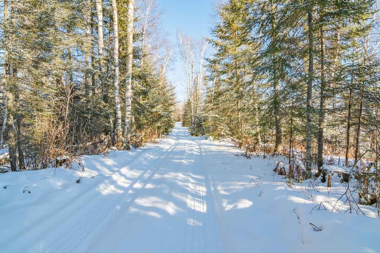 TBD N Hayland Rd for sale in Embarrass, Minnesota, MLS ID 6106515 Bear