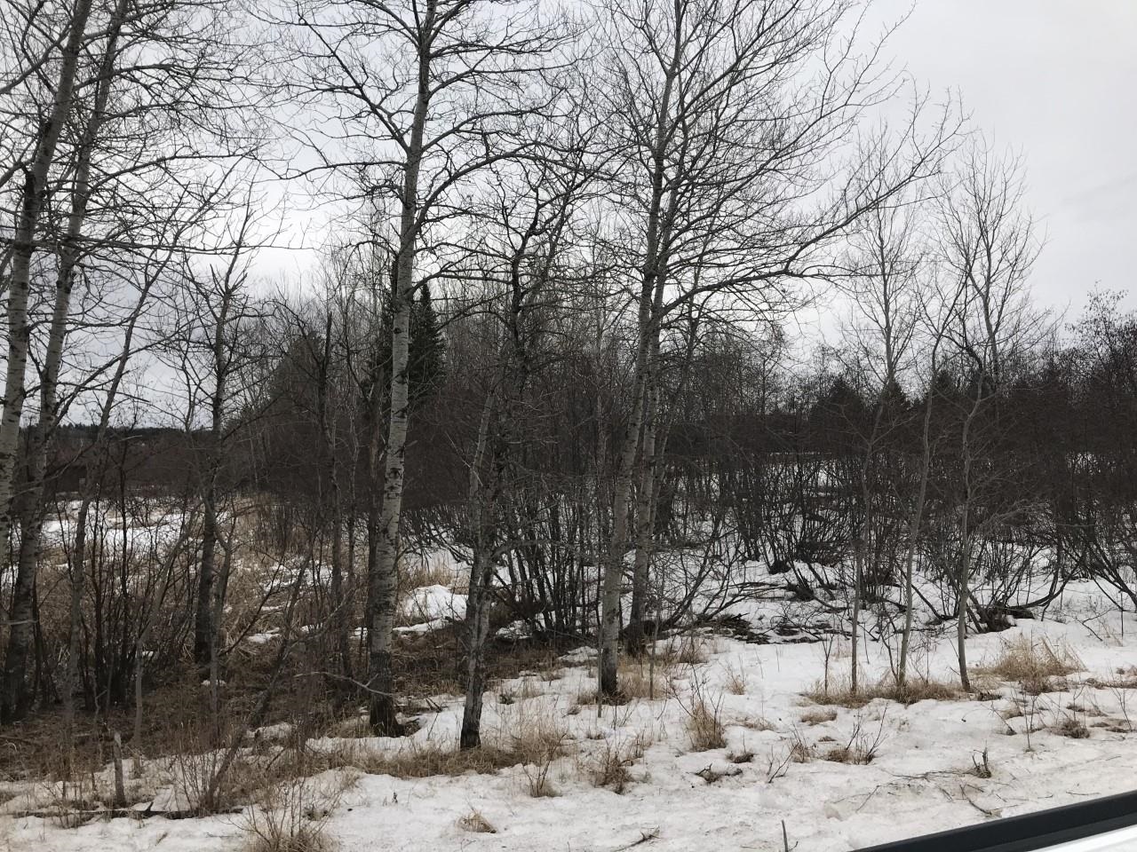 XXX E North Cloquet Rd, Esko, MN 55733 75,000 Lots & Land Active