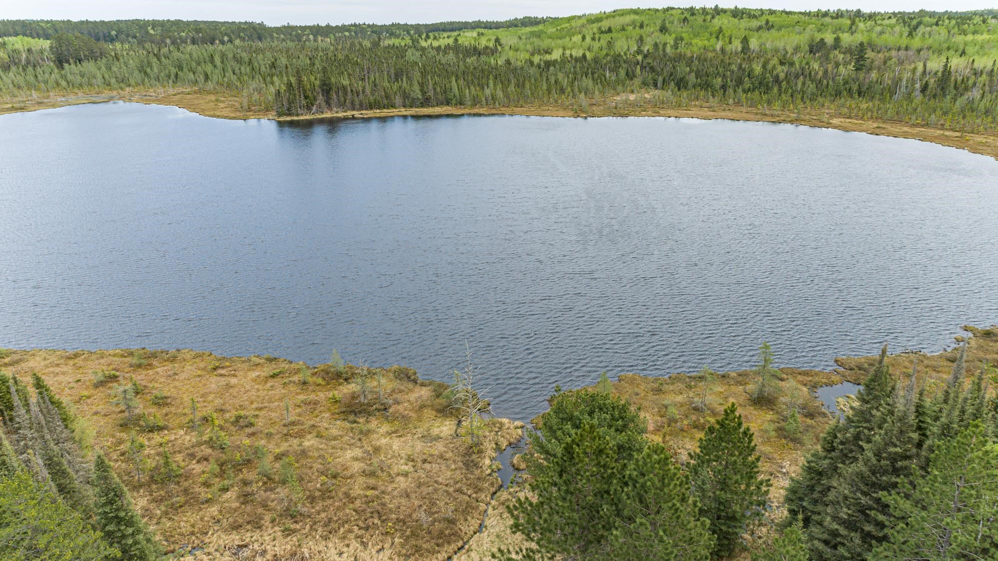 10350 Victor Lake Rd for sale in Isabella, Minnesota, MLS ID 6107172