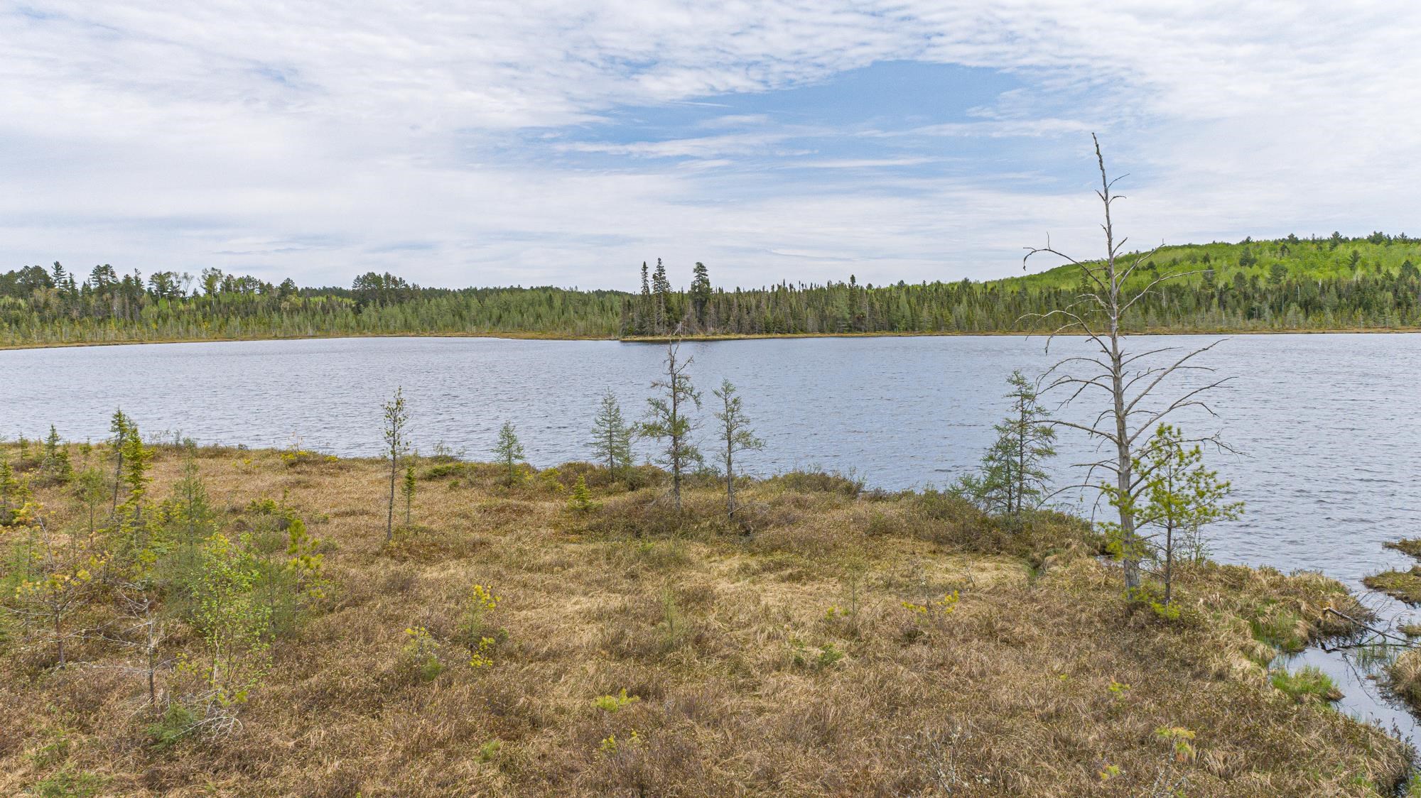 10350 Victor Lake Rd for sale in Isabella, Minnesota, MLS ID 6107172