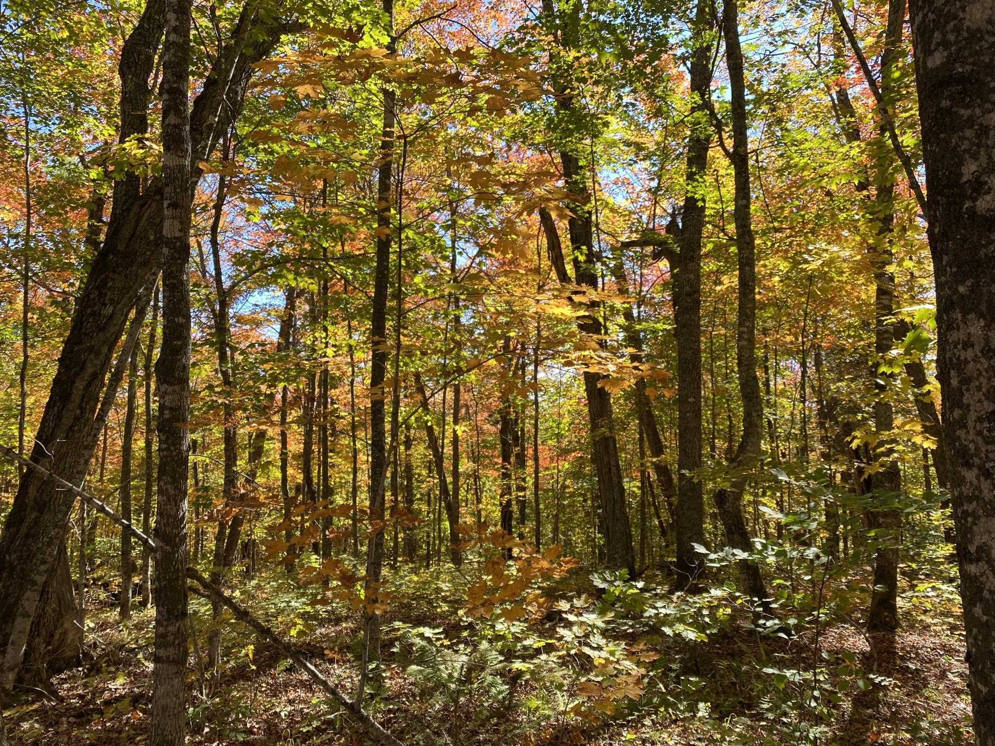 Lots and Land for sale in Lutsen, Minnesota, 6108145