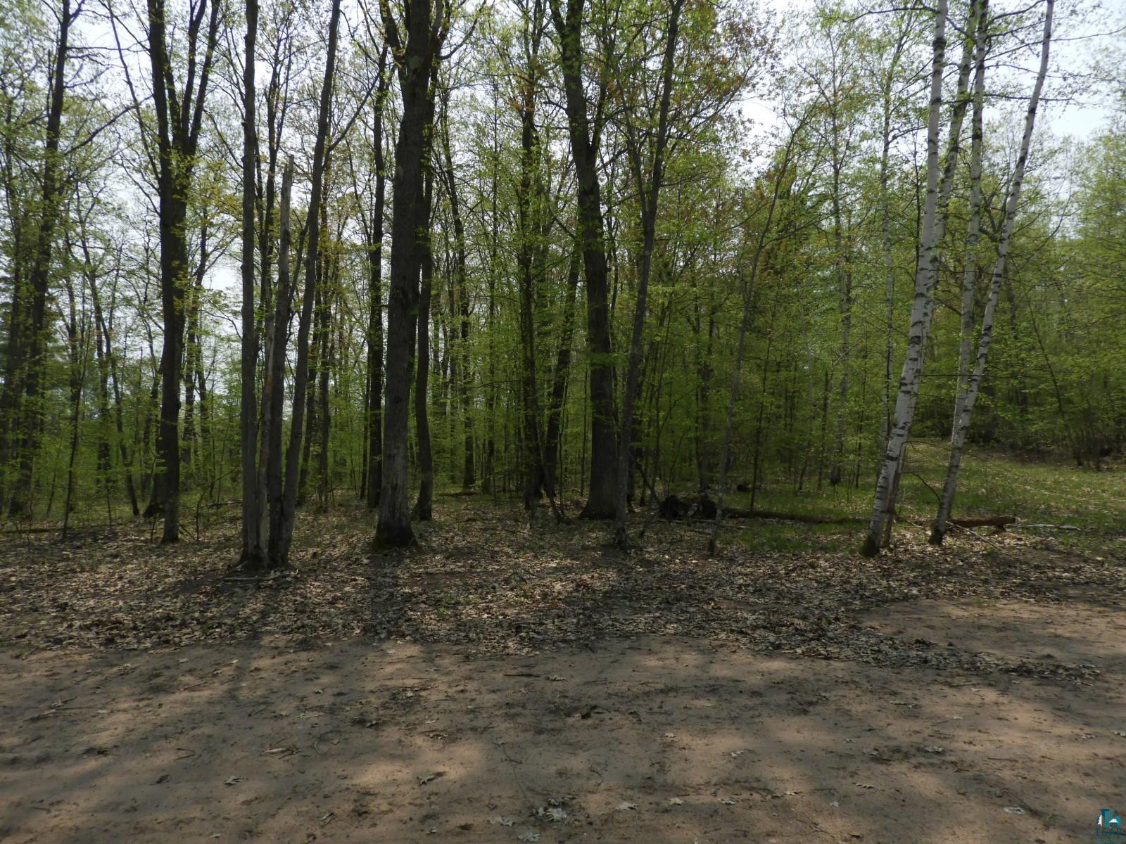 672XX E Deep Lake Rd, Iron River, WI 54847 Listing Photo  4