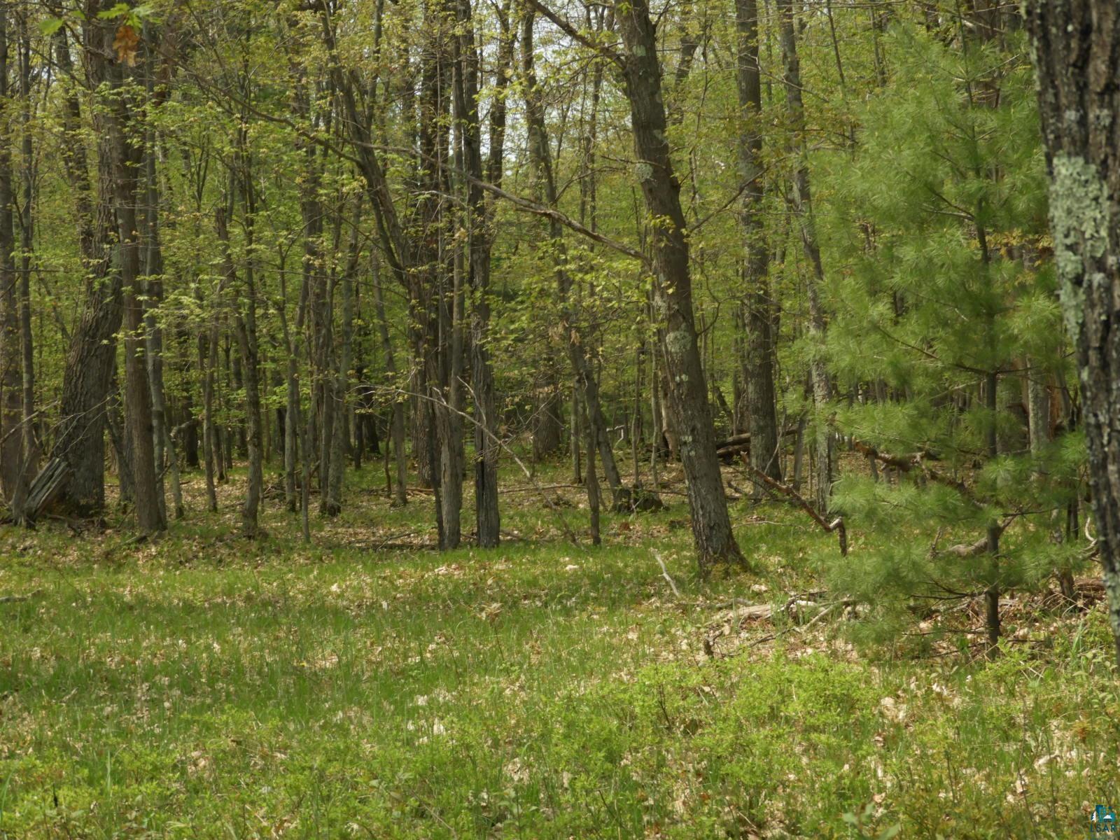 6726X E Deep Lake Rd, Iron River, WI 54847 Listing Photo  2
