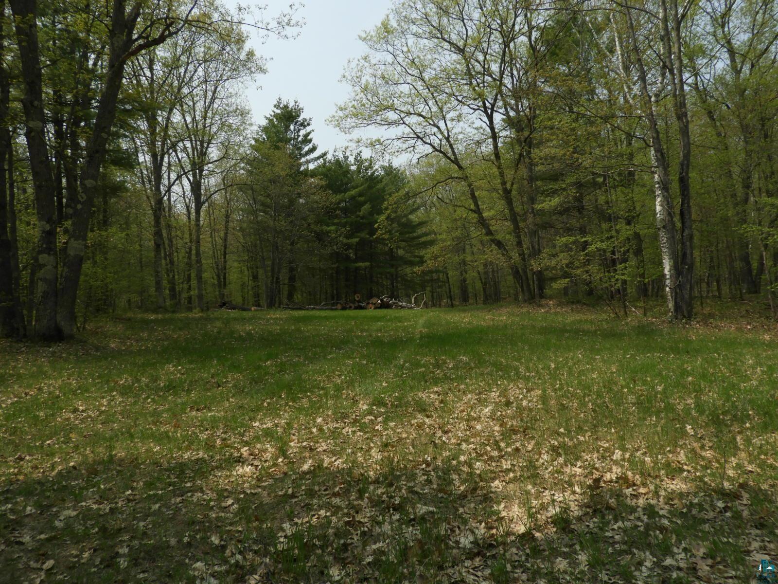 6726X E Deep Lake Rd, Iron River, WI 54847 Listing Photo  5