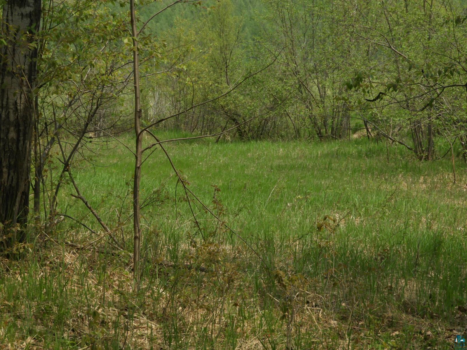 6726X E Deep Lake Rd, Iron River, WI 54847 Listing Photo  7