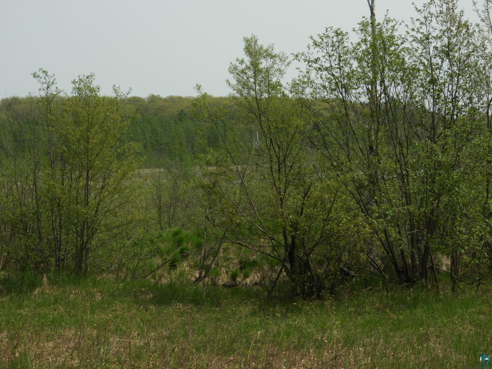 6726X E Deep Lake Rd, Iron River, WI 54847 Listing Photo  8
