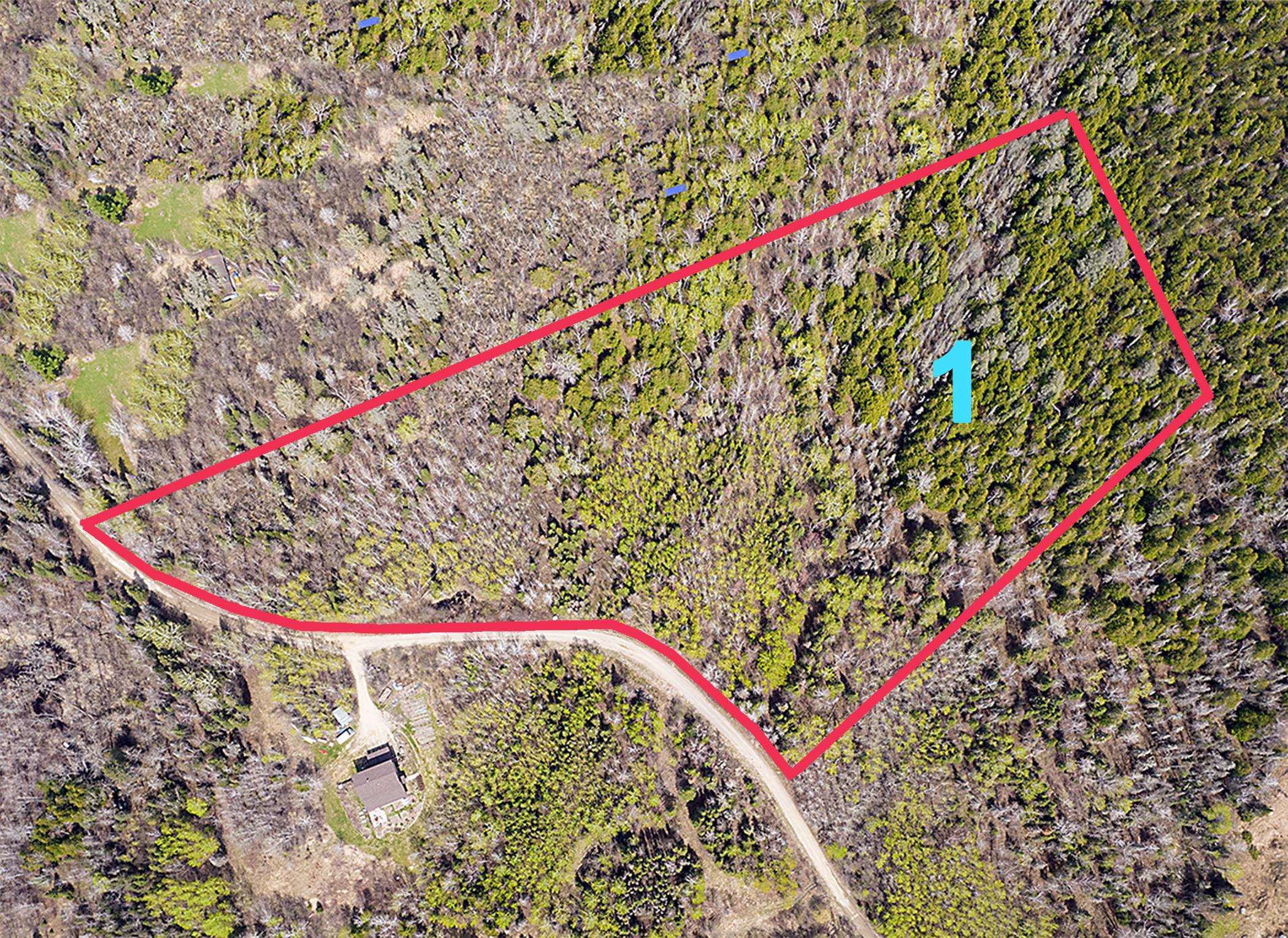 TBD Lot 1 Truman LN for sale in Ely, Minnesota, MLS ID 6108282 Bear