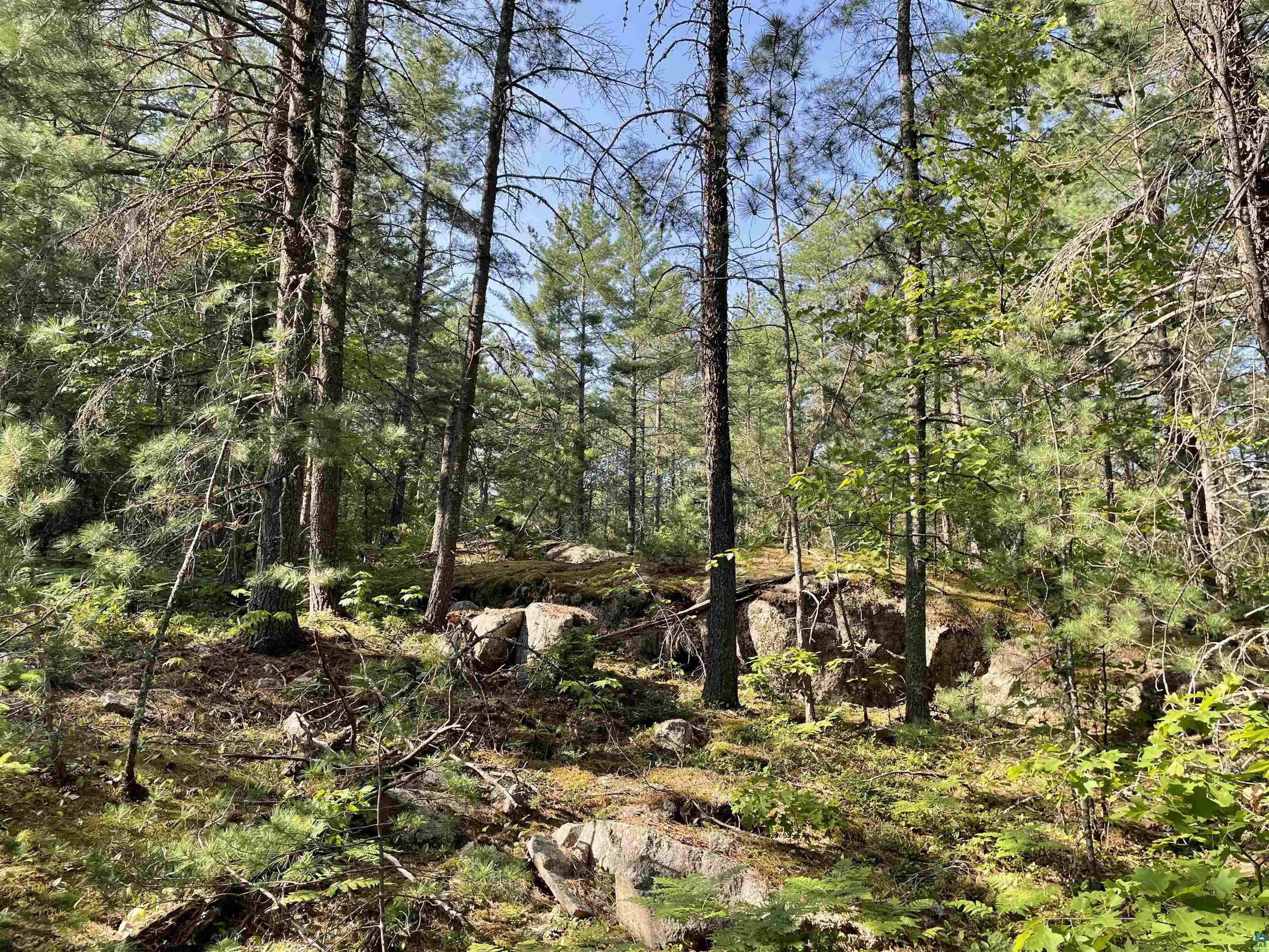 xxx Echo Tr for sale in Ely, Minnesota, MLS ID 6108637 Bear Island