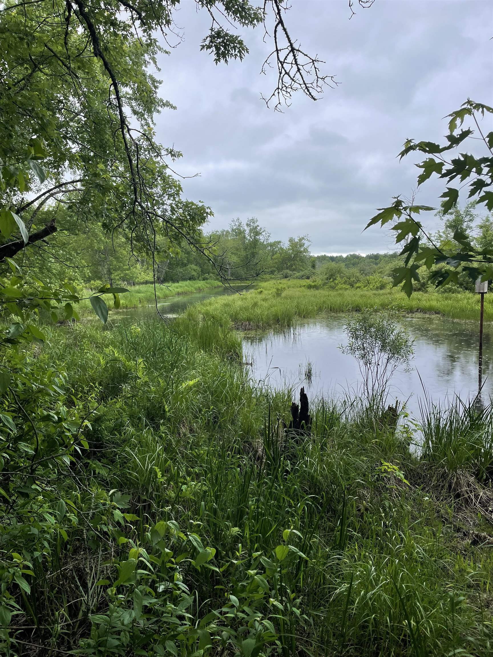 XXX Cedar Valley Rd, Floodwood, MN 55736 69,000 Lots & Land Active