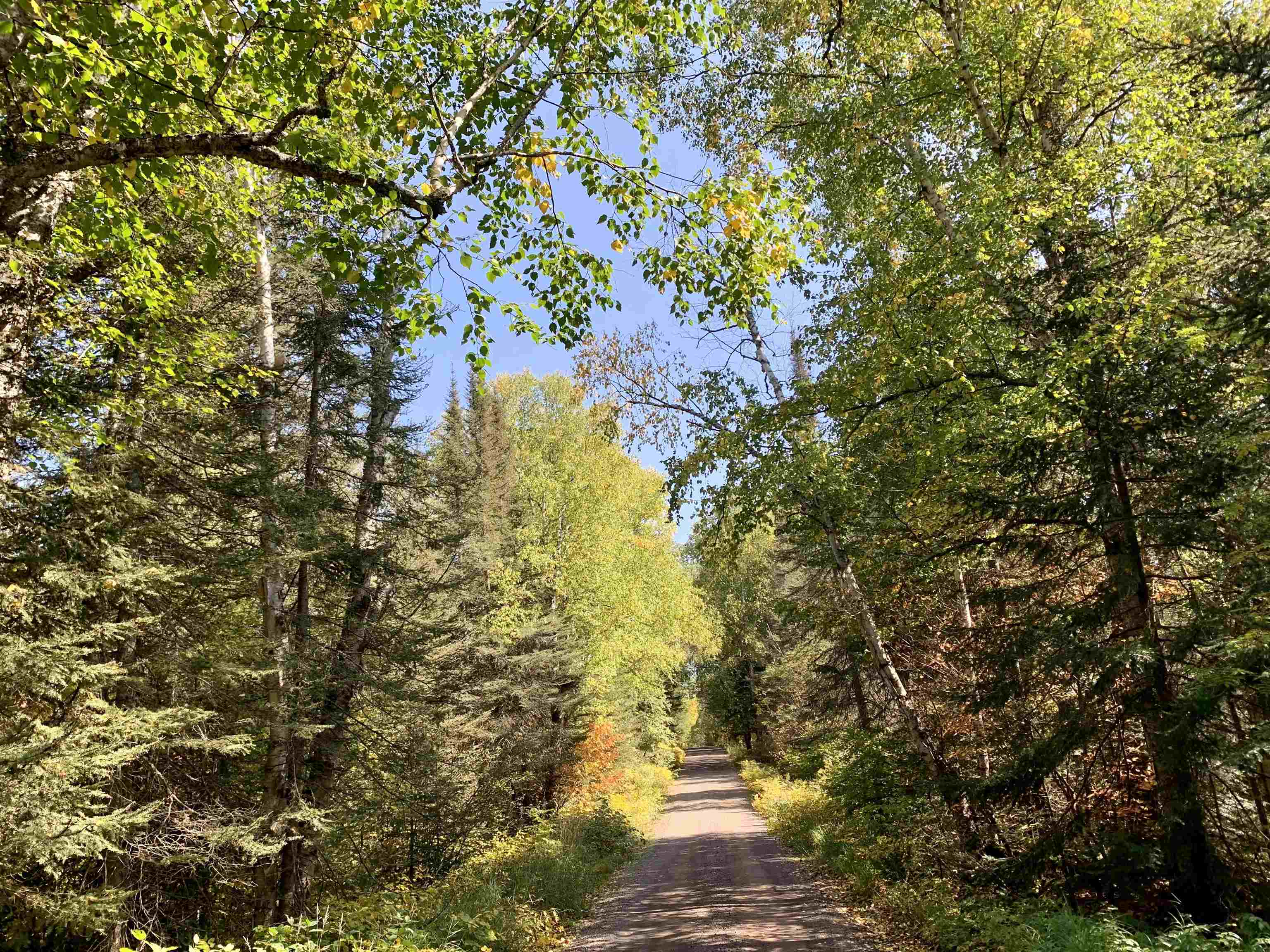 Lots and Land for sale in Lutsen, Minnesota, 6108969