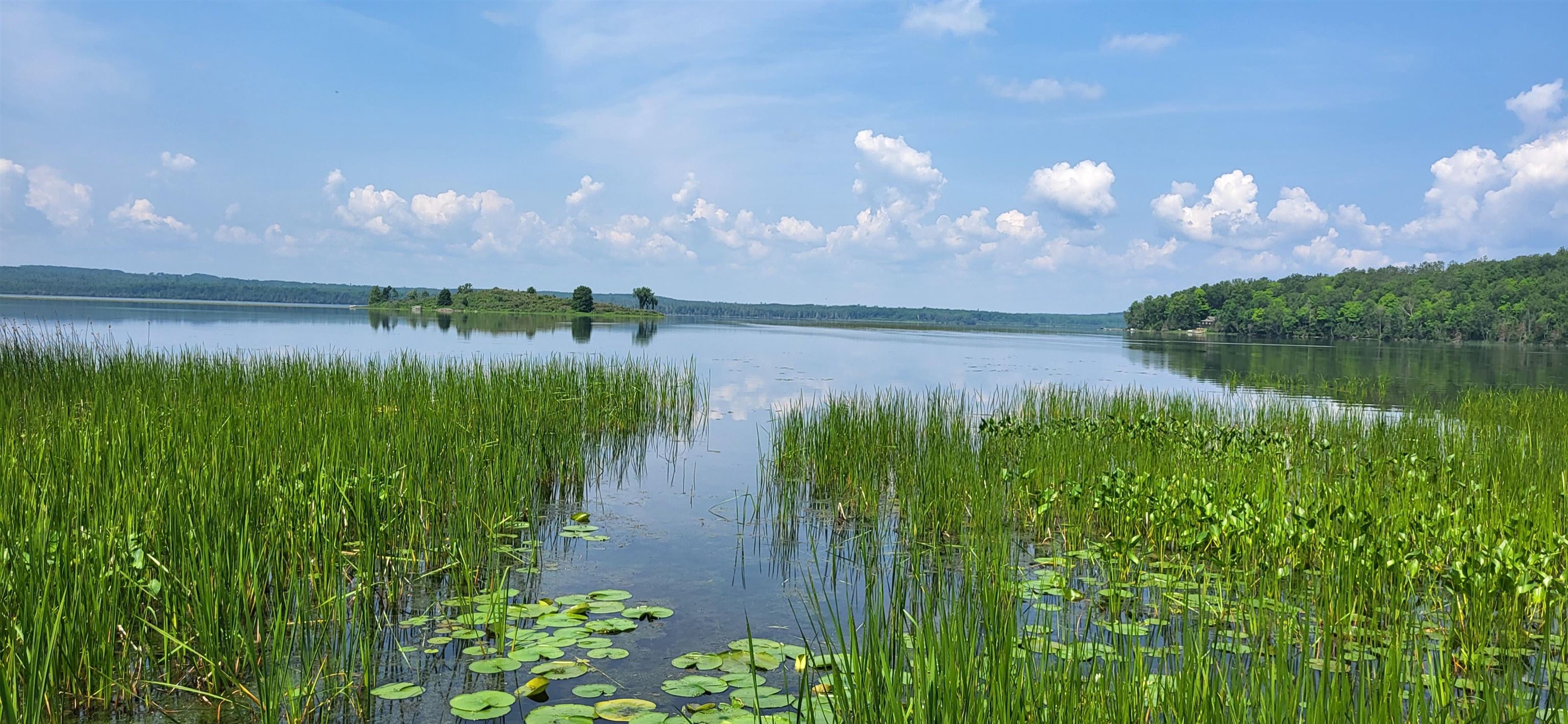 11009 Nett Lake Rd for sale in Orr, Minnesota, MLS ID 6109026 Bear