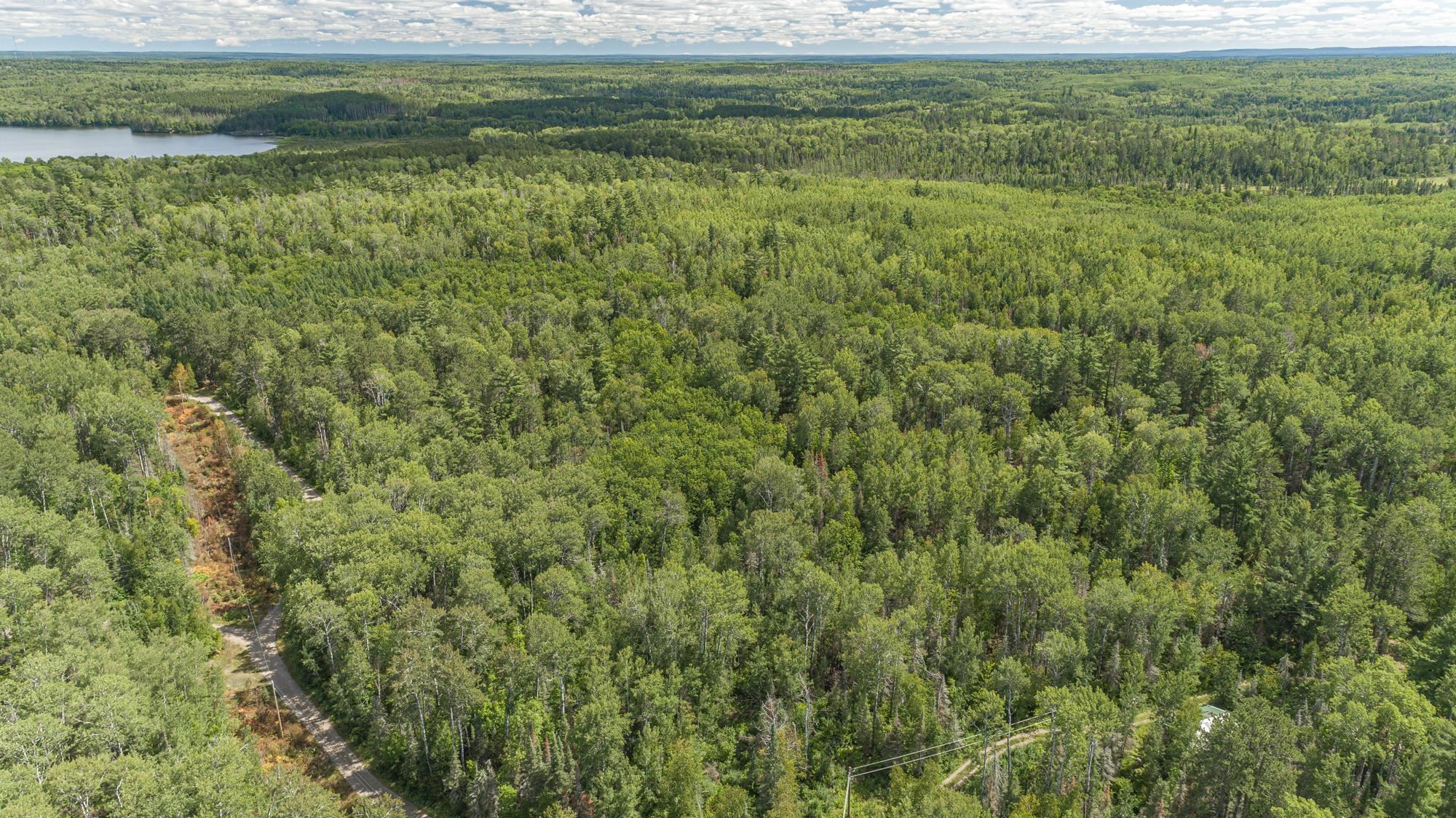 TBD Gold Mine Rd for sale in Ely, Minnesota, MLS ID 6110053 Bear Island