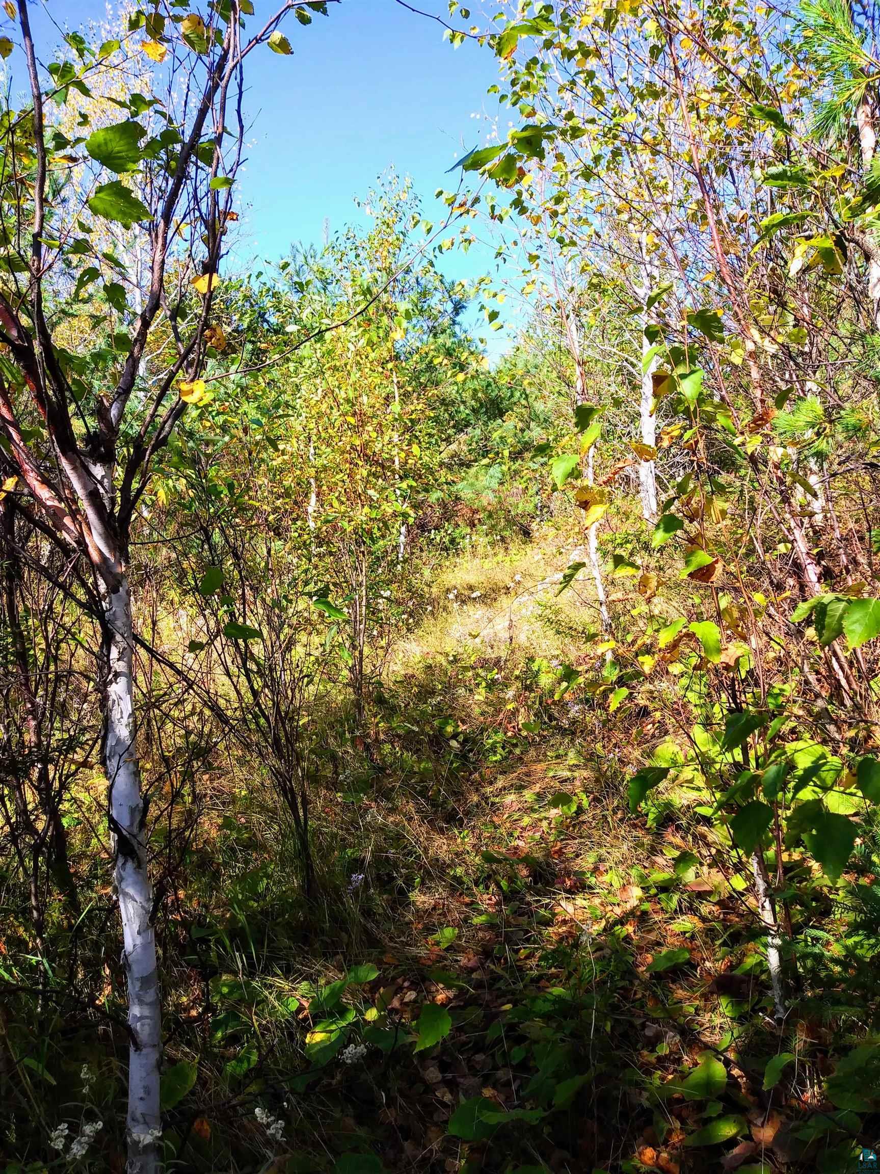 Lots and Land for sale in Grand Marais, Minnesota, 6110281