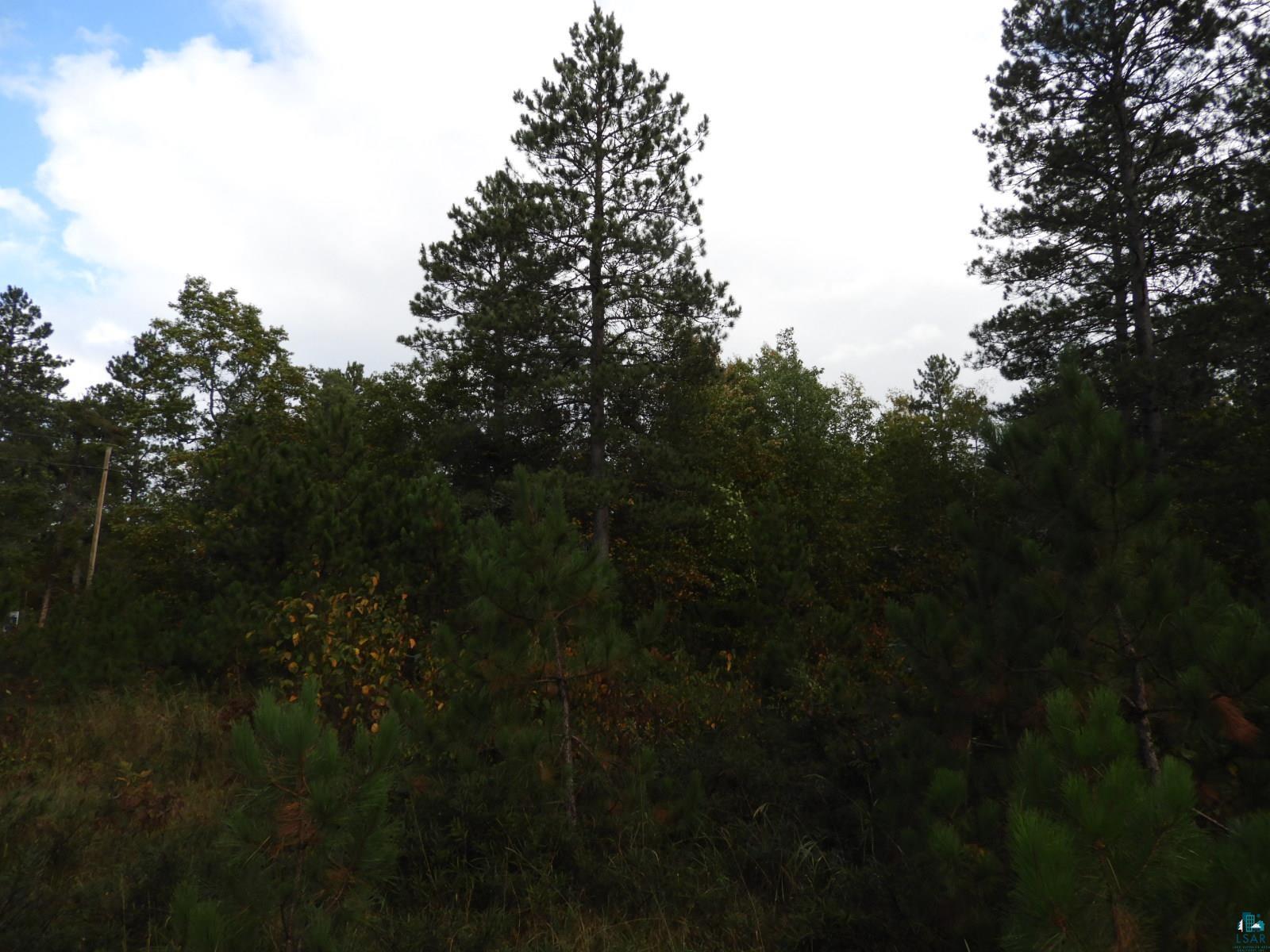 1765 E Wilderness Ct, Barnes, WI 54873 Listing Photo  2