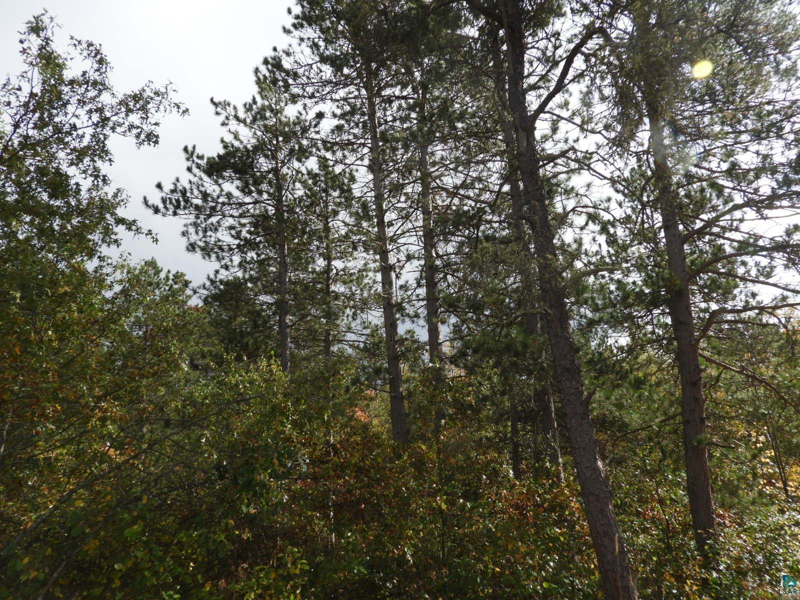 1765 E Wilderness Ct, Barnes, WI 54873 Listing Photo  11