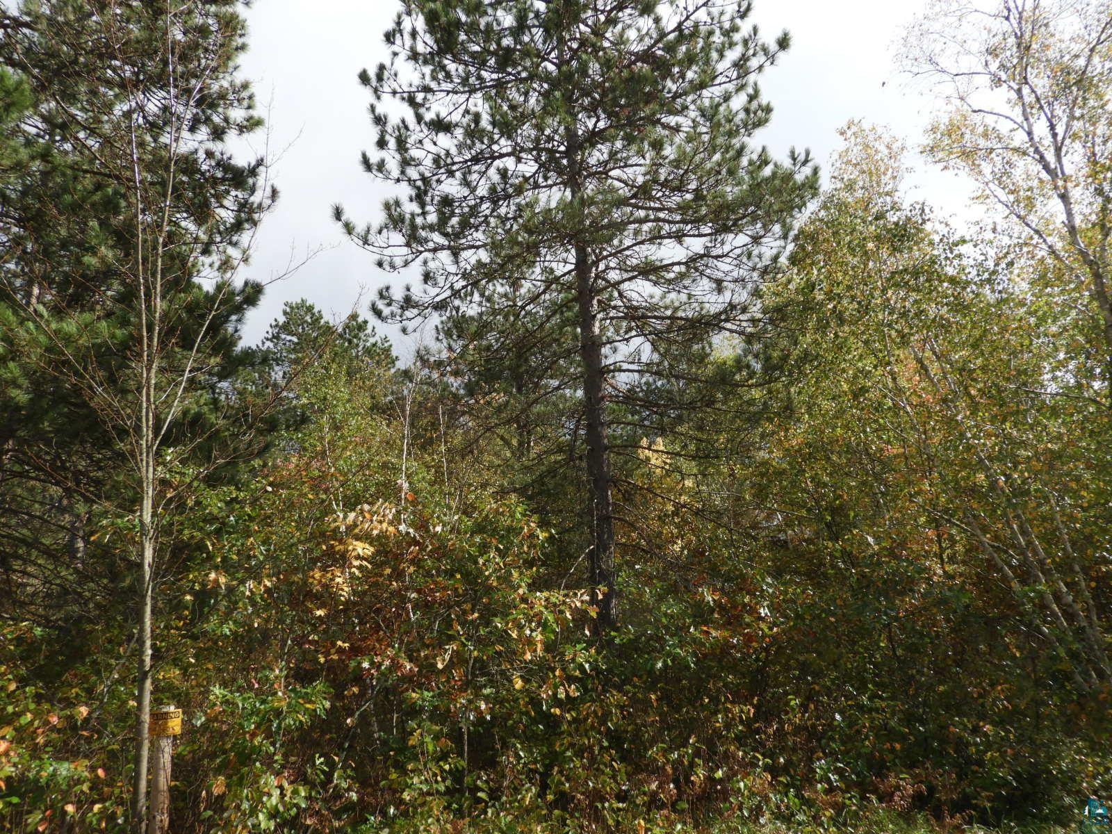 1765 E Wilderness Ct, Barnes, WI 54873 Listing Photo  12